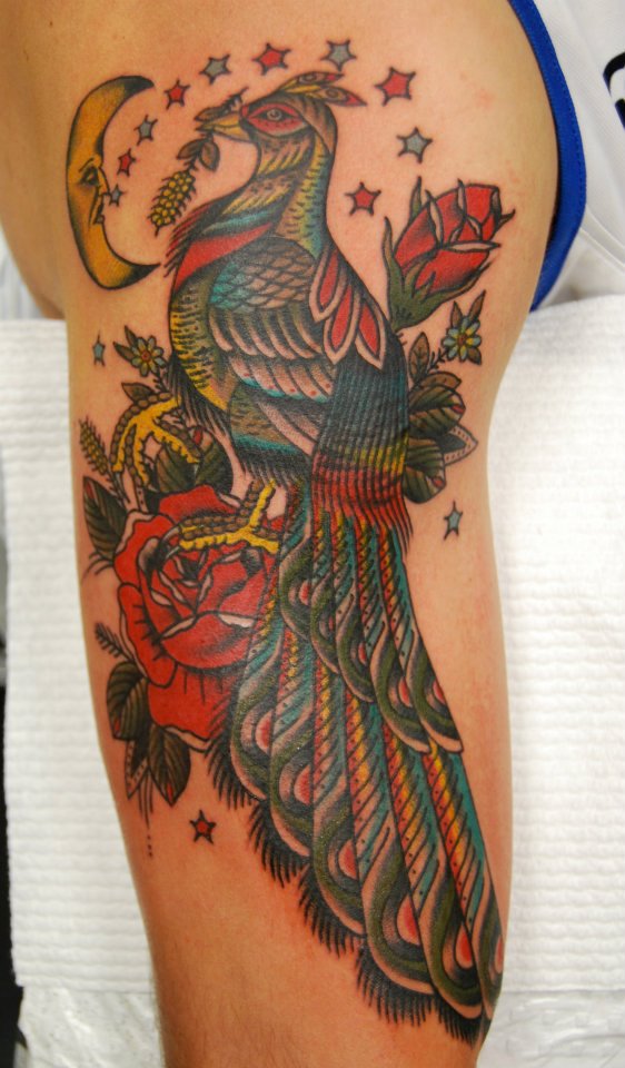 Colourful Bird