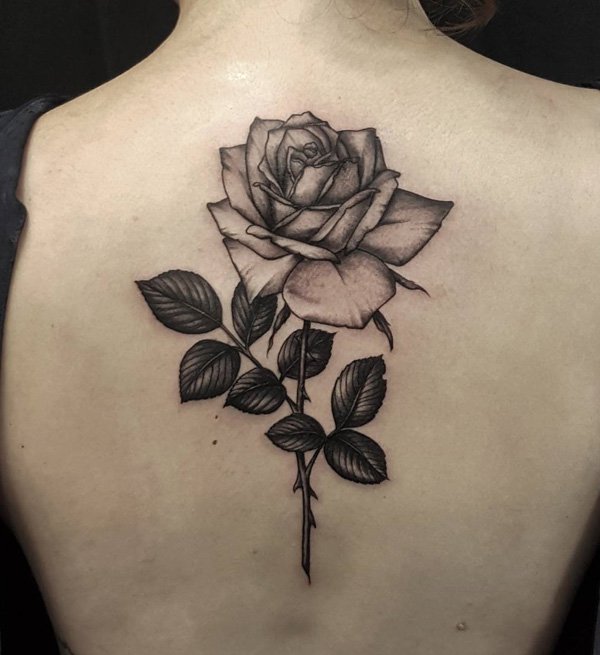 Rose tattoo on back