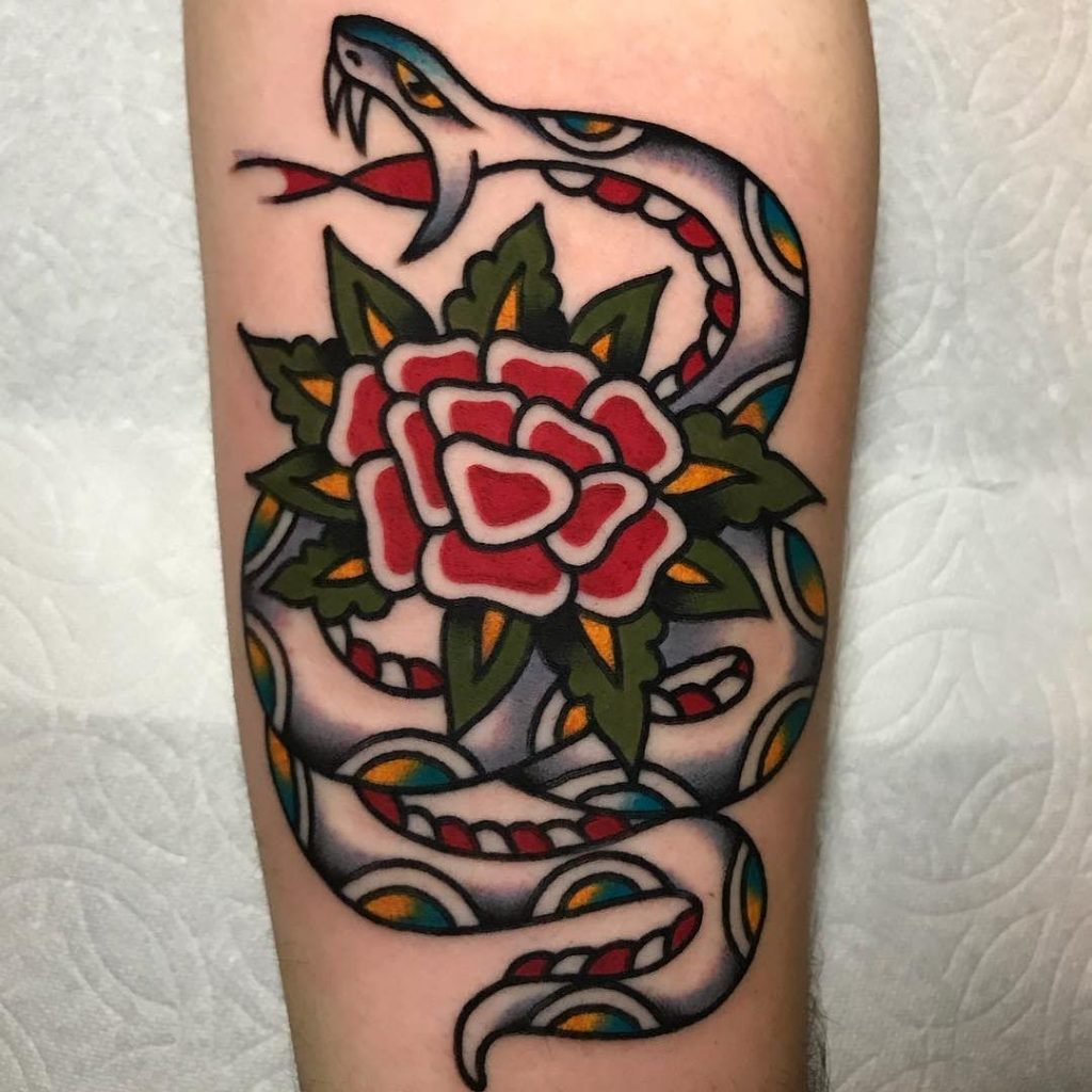 snake on rose