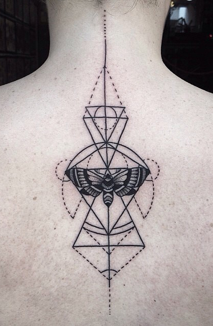 Butterfly And Geometric Shapes