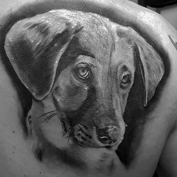 Upper back black and grey ink shaded dog portrait tattoo design ideas for males