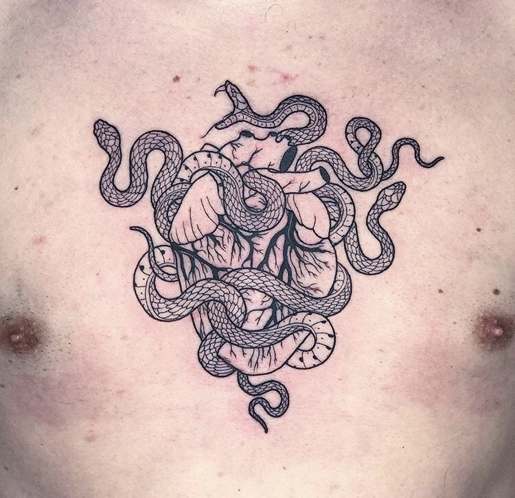 Anatomical Heart Wrapped In Snakes Anatomical Heart Wrapped In Snakes