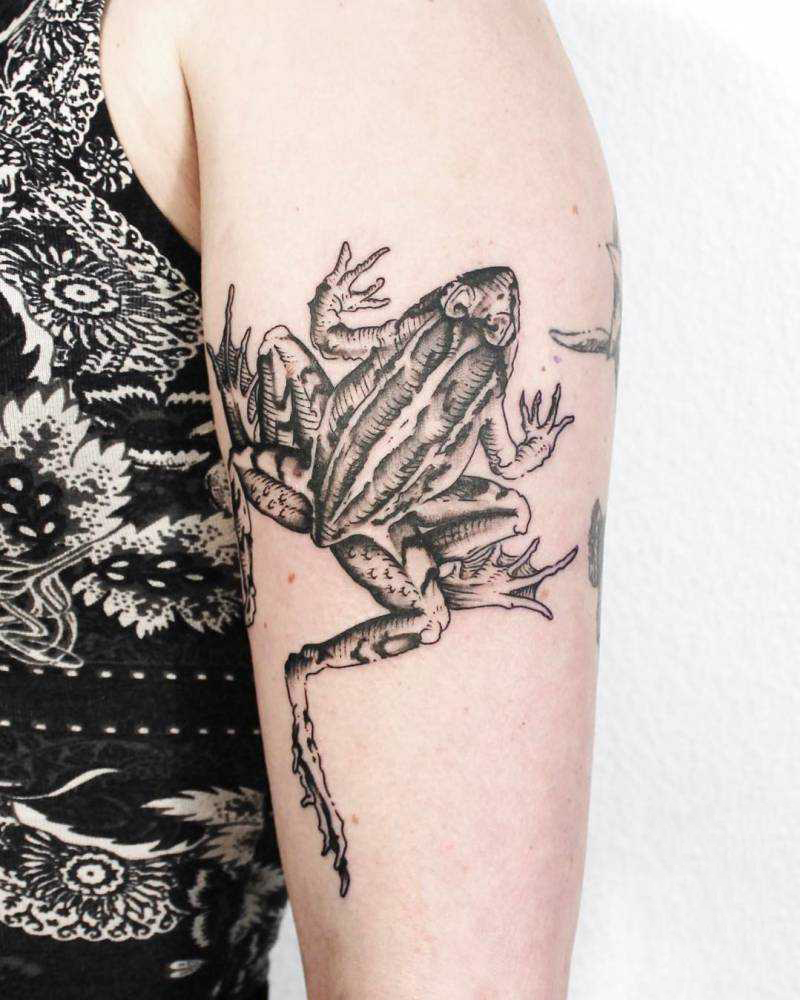 Frog Tattoo