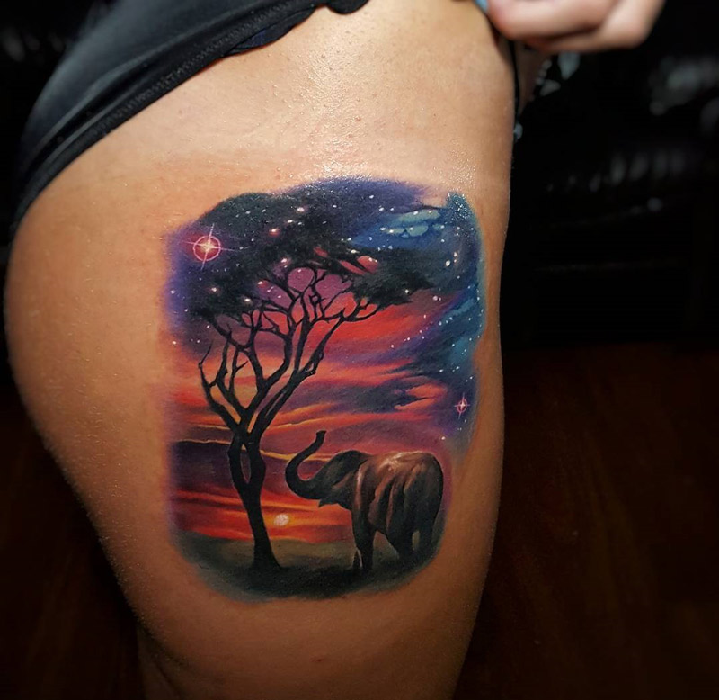 Pretty Sunset & Elephant