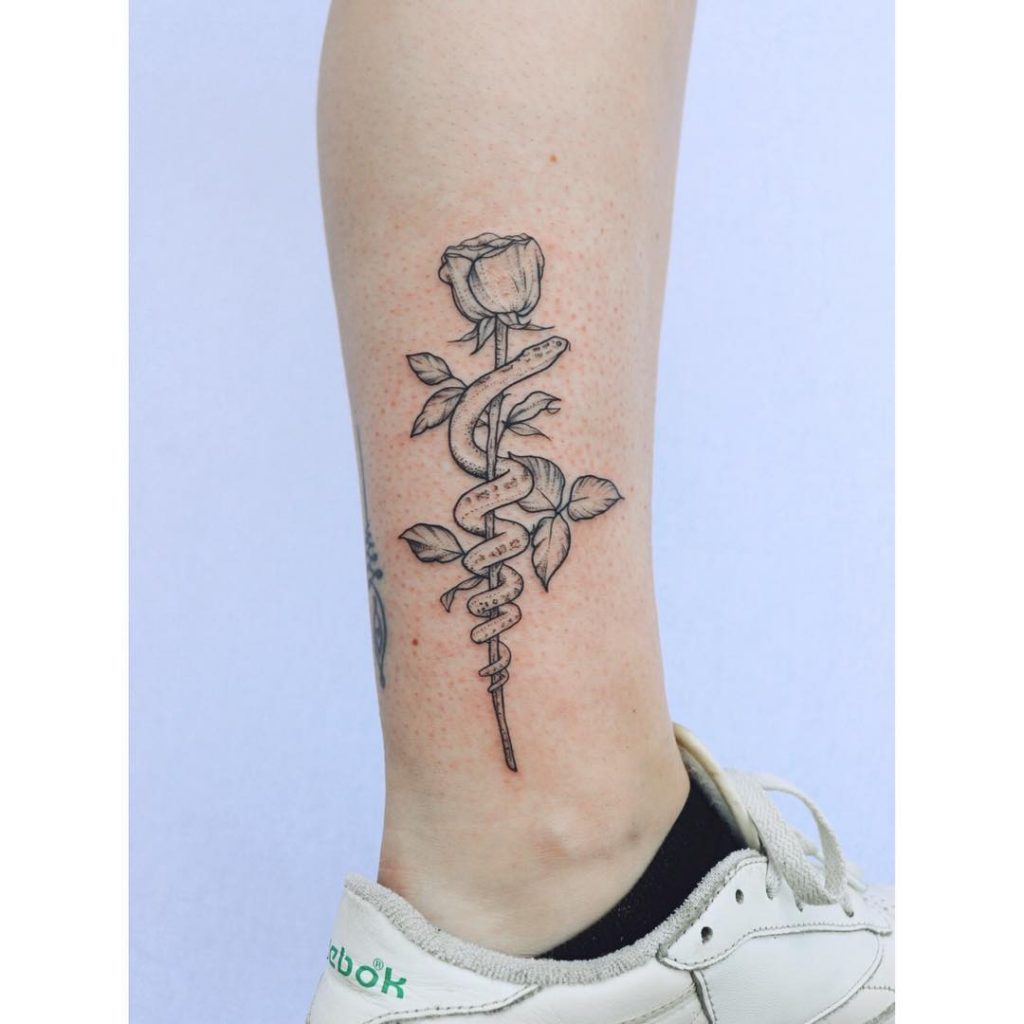Snake Wrapped Around A Rose