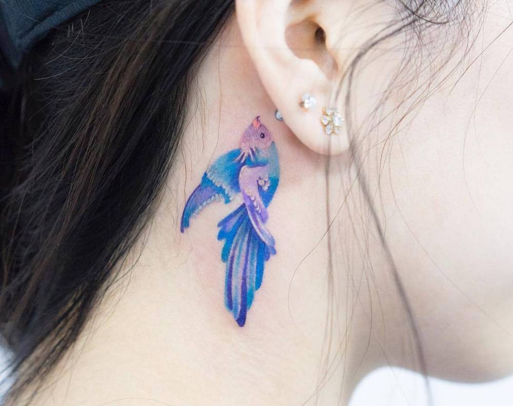 Watercolor Fish Tattoo On The Neck