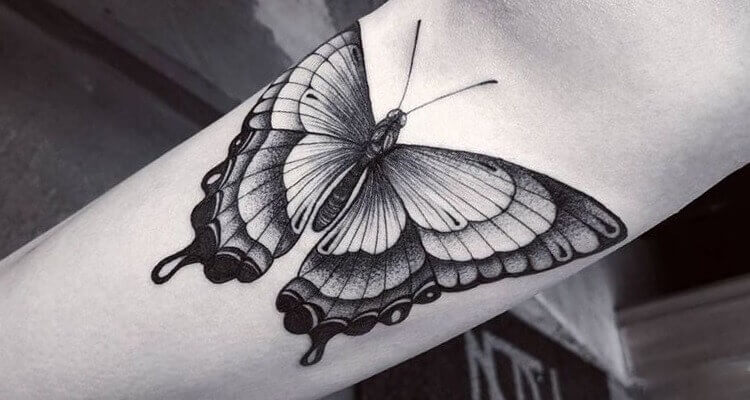 Butterfly tattoo by Arthur Coury  Post 24360