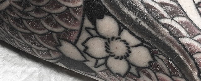 Scratching or peeling a healing tattoo wont harm the final tattoo