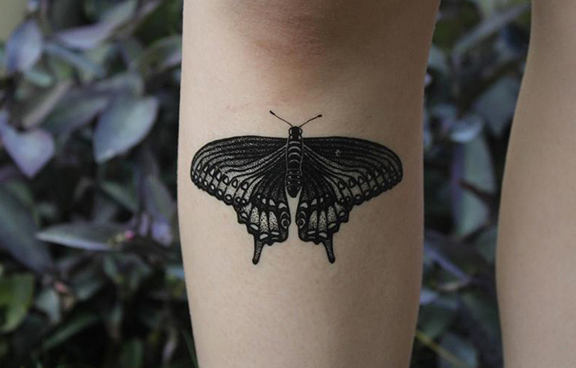 butterfly tattoo for above kneeTikTok Search