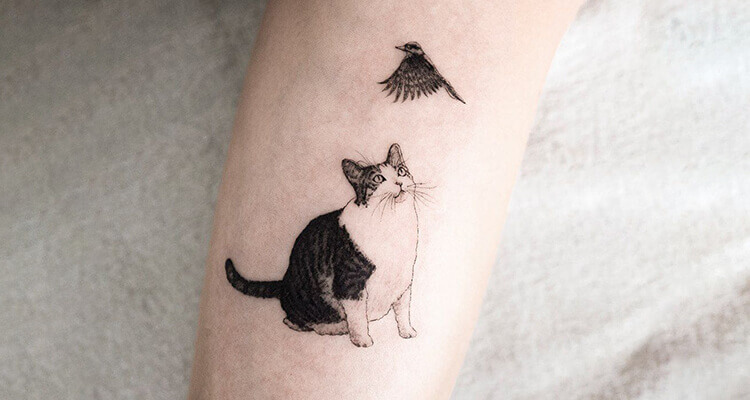 tattoo-to-flaunt-your-love-for-your-kitty