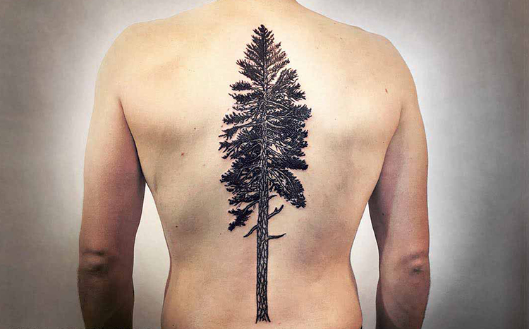 Best back Tree tattoo pic