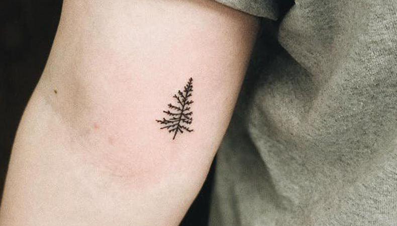 Small Tree Tattoo