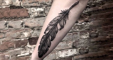 Feather Tattoo Designs and Their Meanings, Culture & Religion