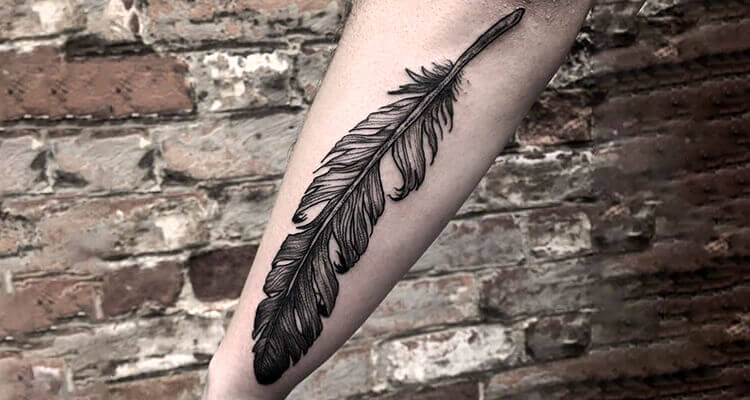 pheasant feather tattooTikTok Search