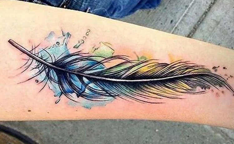 Hummingbird feather tattoo