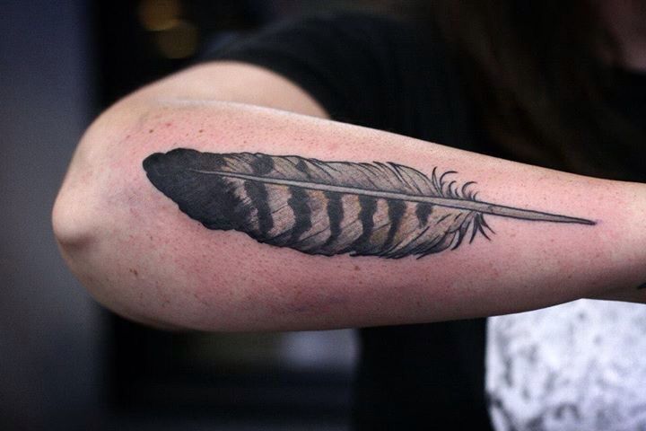 150243 Hawk Feathers Images Stock Photos  Vectors  Shutterstock