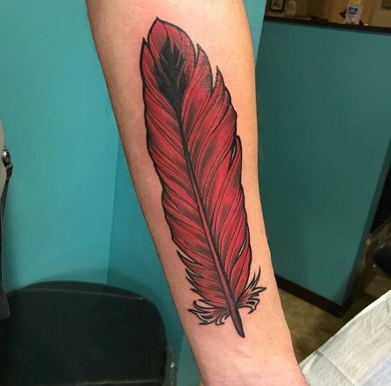 Red feather tattoo design