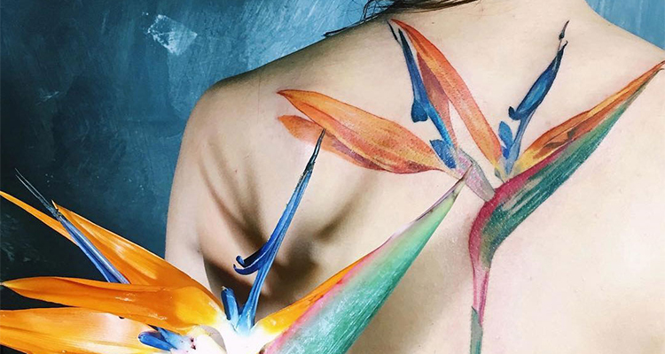 Strelitzia Floral Tattoo