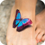 Butterfly Tattoo icon