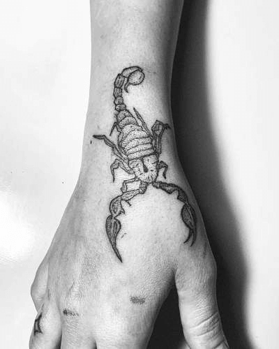 Scorpio Zodiac Tattoo Designs on Hand