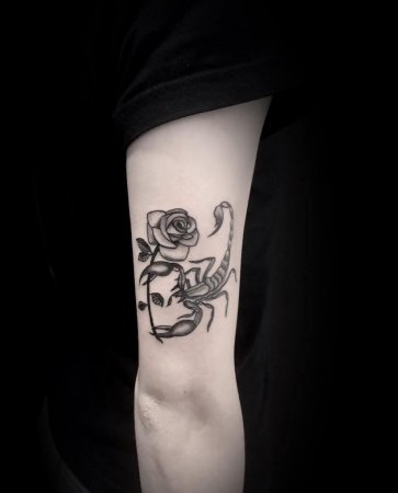 Scorpion With A Rose