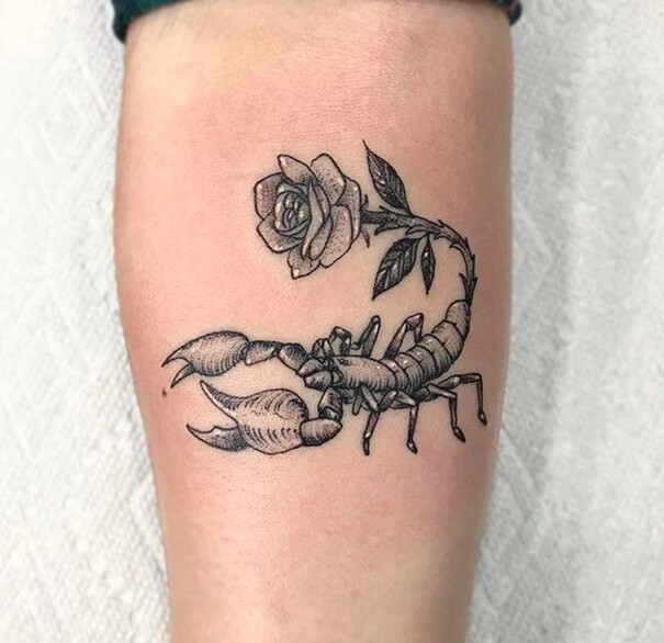 Scorpion with rose tattoo designs