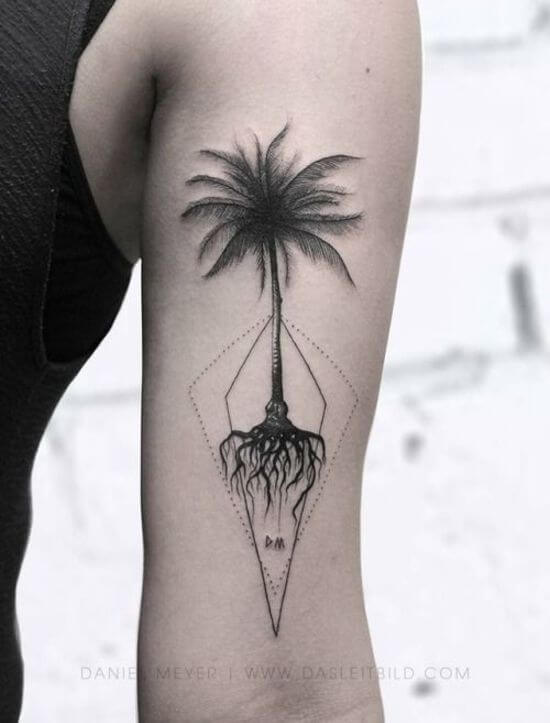 Awesome Palm tree