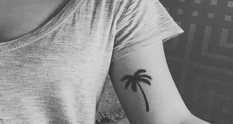 Palm Tree Temporary Tattoo - Set of 3 – Little Tattoos