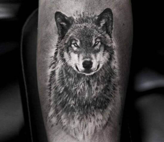 Gray Wolf Tattoo designs