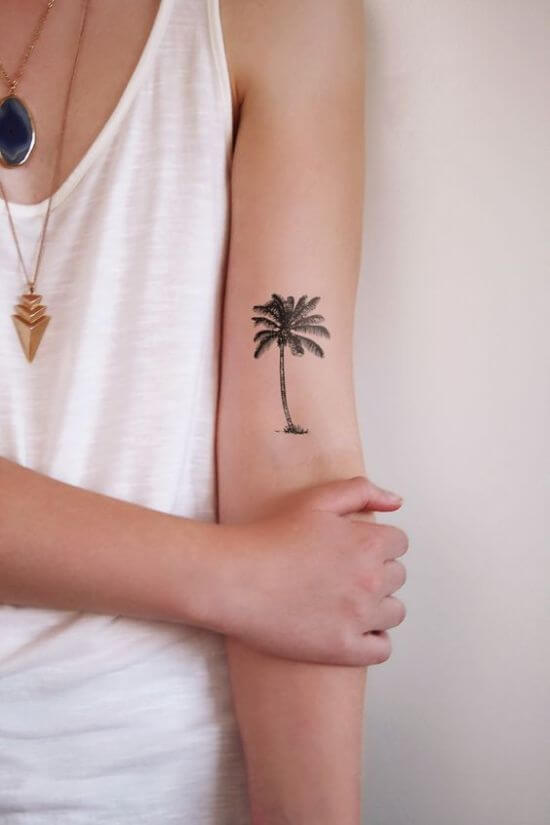 Palm tree