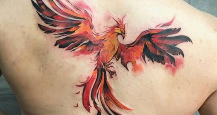 Phoenix bird tattoo