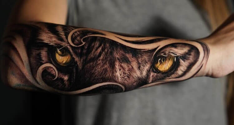 Tiger Tattoo Designs  25 Stunning Collections  Design Press