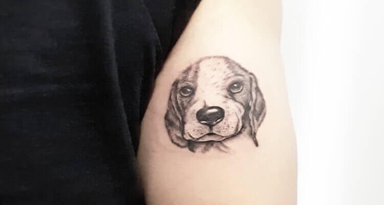 Cute Dogs Tattoo  InkStyleMag