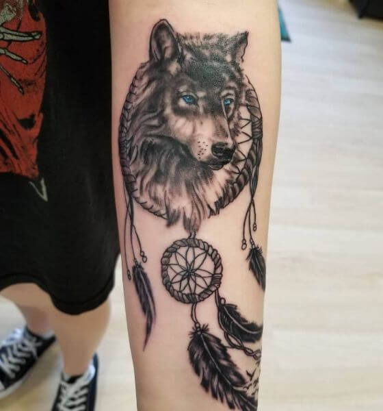 Dream catcher wolf tattoo