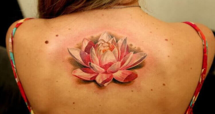 Lotus Flower Tattoo Design - wide 1