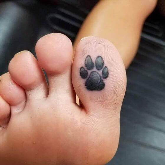 Paw on Toe Thumb