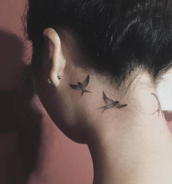 Dove behind the Ear Tattoo ideas
