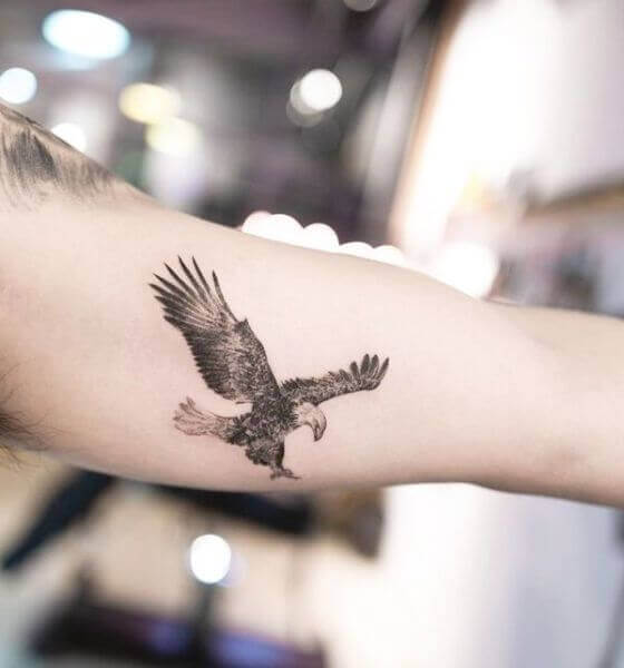 Eagle Tattoo on the arm 