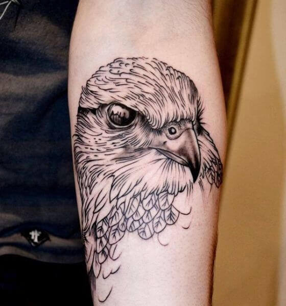 Eagle Tattoo on the forearm 