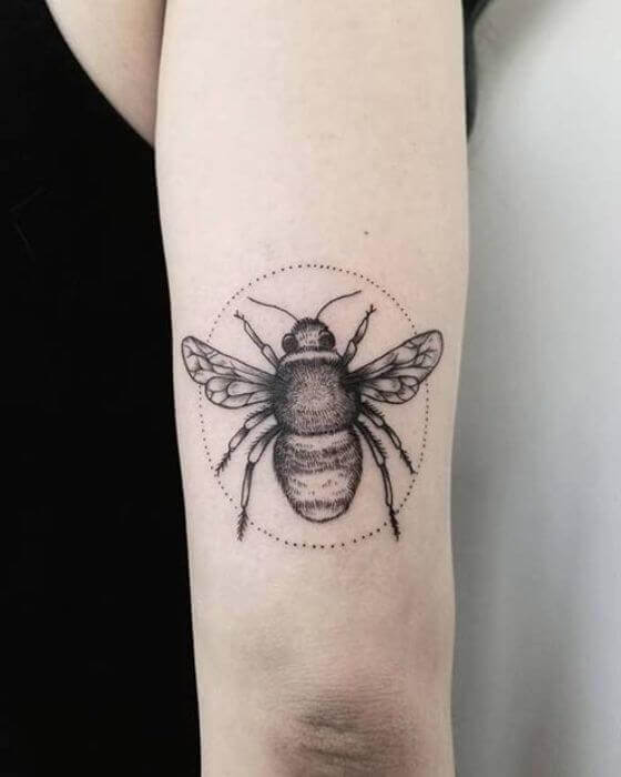 Sweet Honey Bee Tattoo in a Dotted Circle