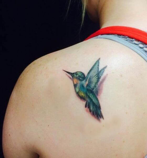 Hummingbird 3d Tattoo designs and ideas on back shoulder