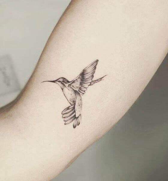 Best Hummingbird Tattoo Black and White