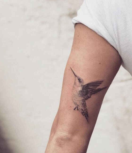 Hummingbird Tattoo On Arm