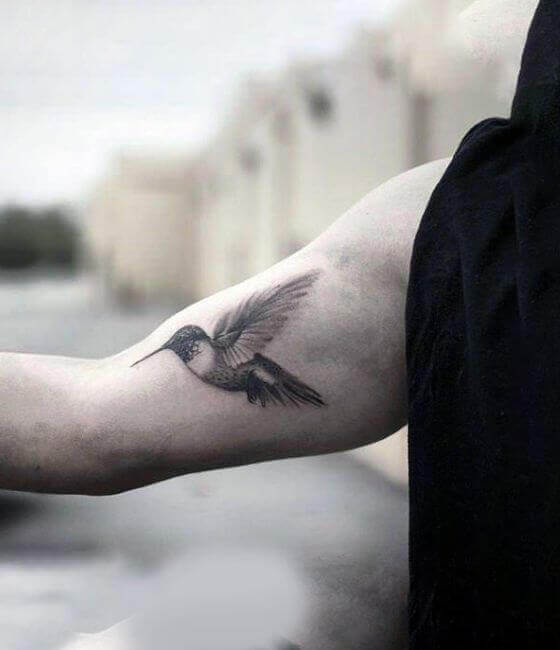 Black Hummingbird Tattoos On Arm