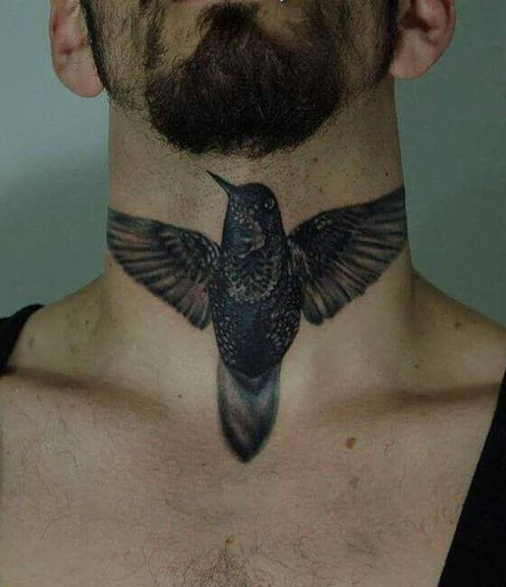 Best Hummingbird Tattoo ideas for men
