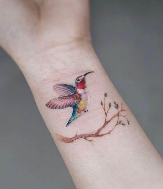 Hummingbird Beak Wing Feather Hummingbird Tattoos Free animals bird  tattoo png  PNGWing