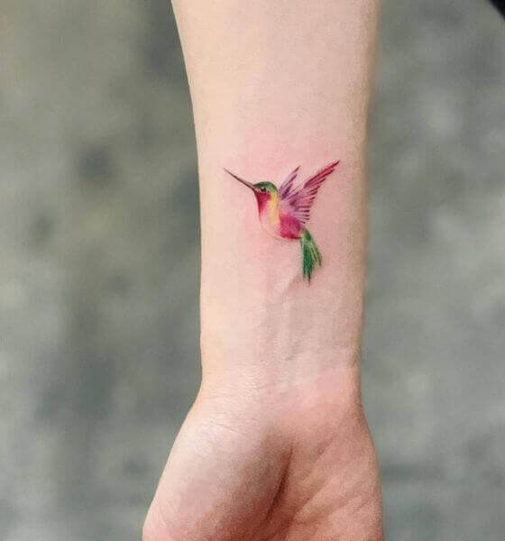 Hummingbird Tattoo Watercolor