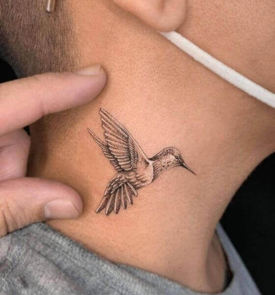 Dotwork Hummingbird Tattoo Idea  BlackInk