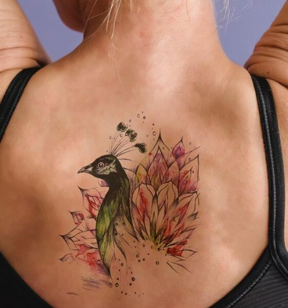 Amazing Peacock Tattoo on Back