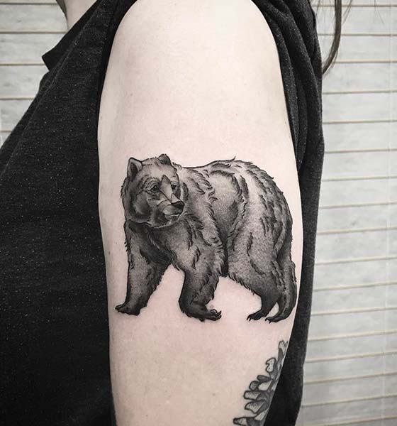 Tattoo tagged with bear grey black big animal chest red shoulder  tatuaje tatuajes marineperez green illustrative  inkedappcom